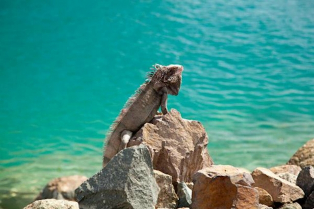  COZUMEL 